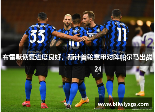 布雷默恢复进度良好，预计首轮意甲对阵帕尔马出战